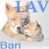 LAV Bari