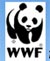 WWF Giarre