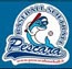 Pescara Baseball