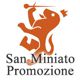 Fondazione San Miniato Promozione